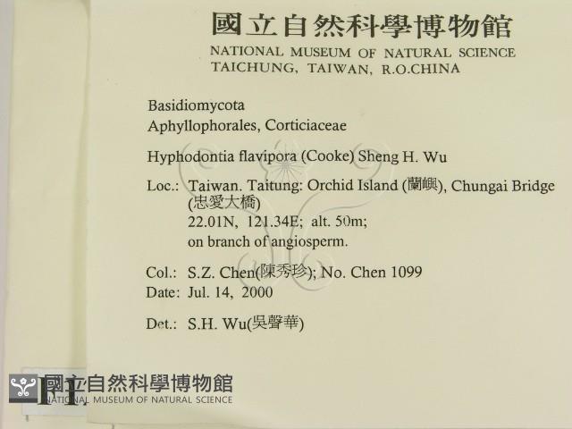 登錄號:F0012037藏品圖，第2張