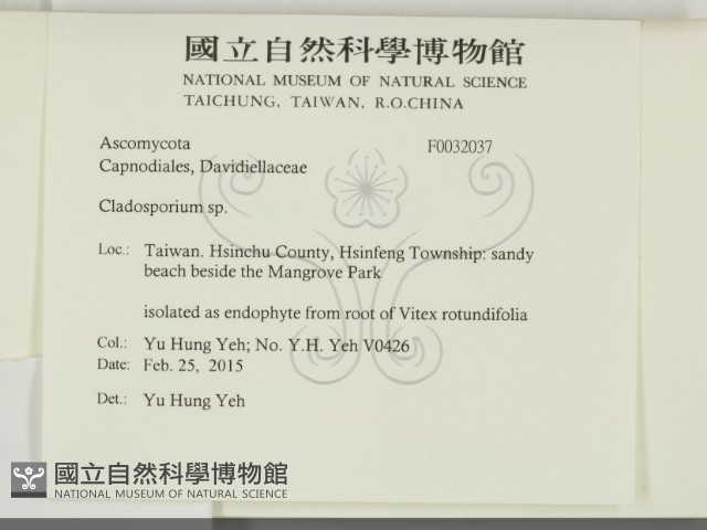 登錄號:F0032037藏品圖，第2張