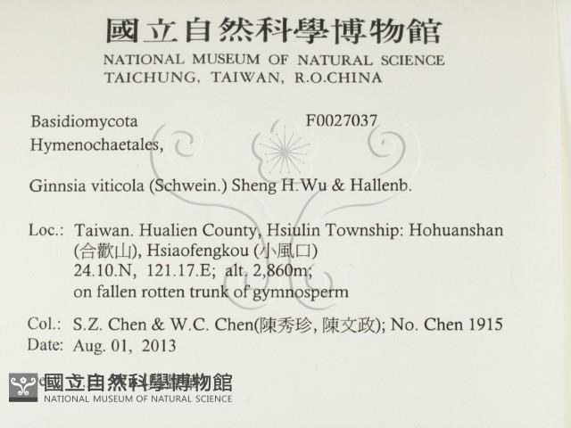 登錄號:F0027037藏品圖，第2張