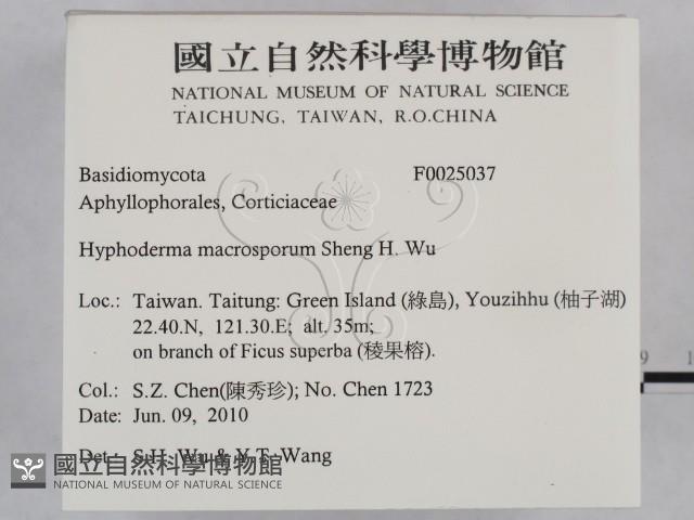 登錄號:F0025037藏品圖，第2張
