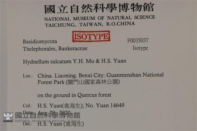 登錄號:F0035037藏品圖，第2張