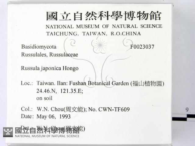 登錄號:F0023037藏品圖，第2張