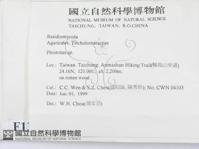 登錄號:F0013037藏品圖，第2張