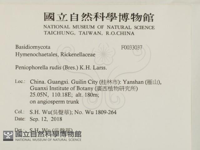 登錄號:F0033037藏品圖，第2張