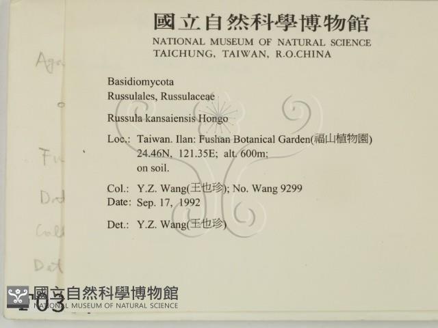 登錄號:F0000337藏品圖，第2張