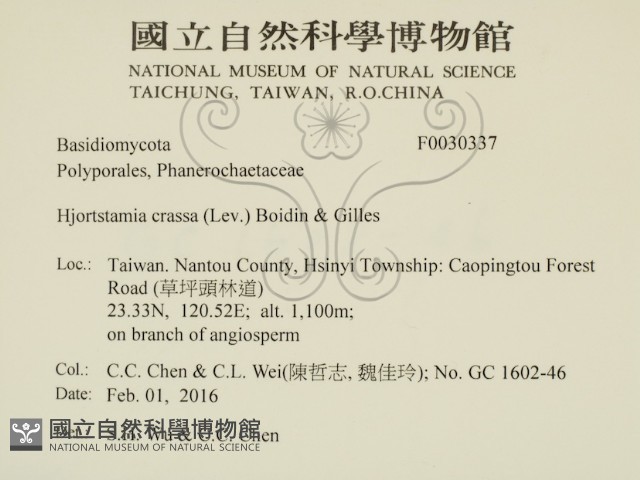 登錄號:F0030337藏品圖，第2張