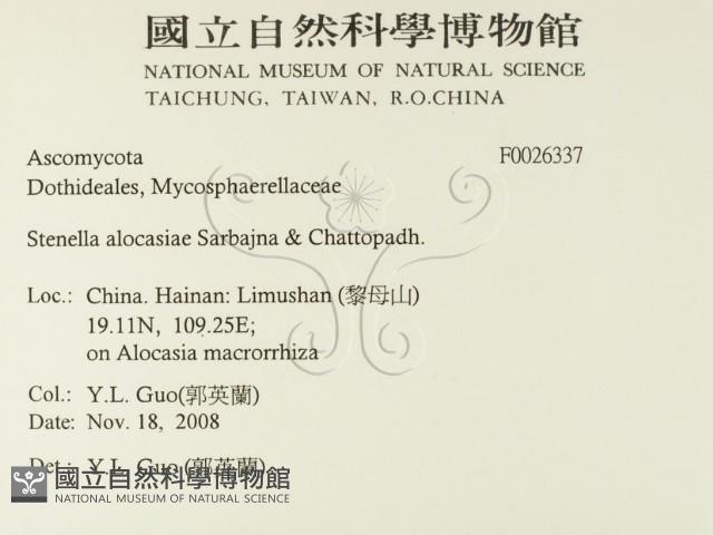 登錄號:F0026337藏品圖，第2張