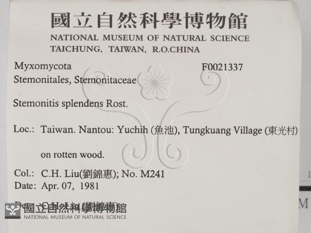 登錄號:F0021337藏品圖，第2張
