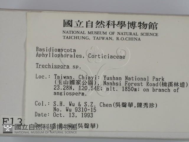 館號:F0001337藏品圖，第2張