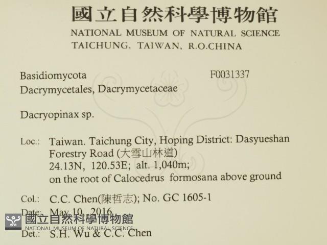 登錄號:F0031337藏品圖，第2張