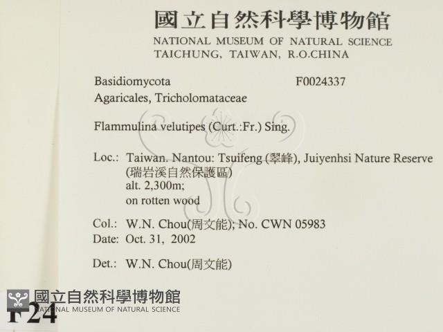 登錄號:F0024337藏品圖，第2張