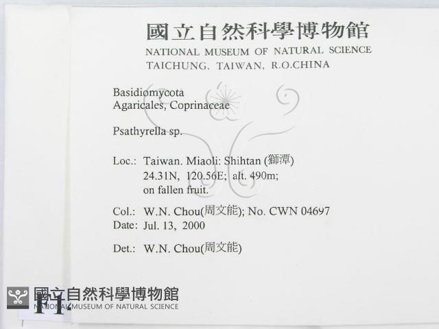 登錄號:F0014337藏品圖，第2張