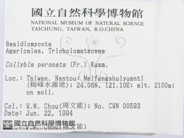 登錄號:F0002337藏品圖，第2張