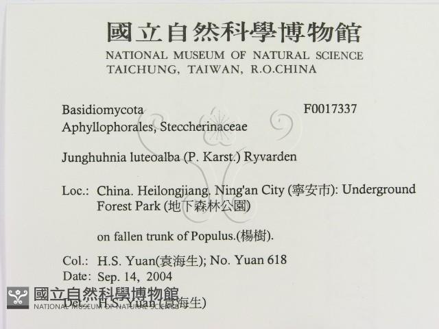 登錄號:F0017337藏品圖，第2張