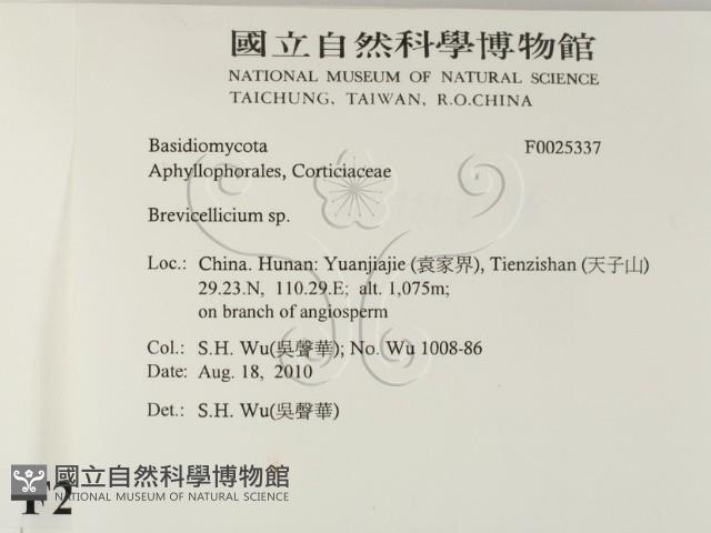 登錄號:F0025337藏品圖，第2張