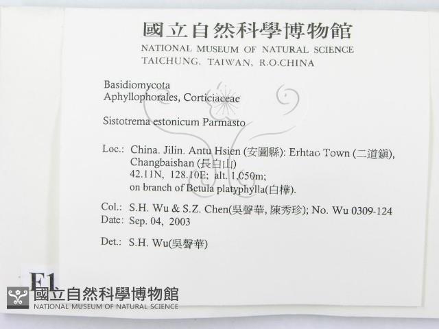 登錄號:F0015337藏品圖，第2張