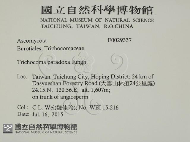 登錄號:F0029337藏品圖，第2張