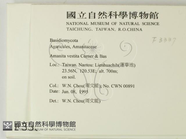 登錄號:F0003337藏品圖，第2張