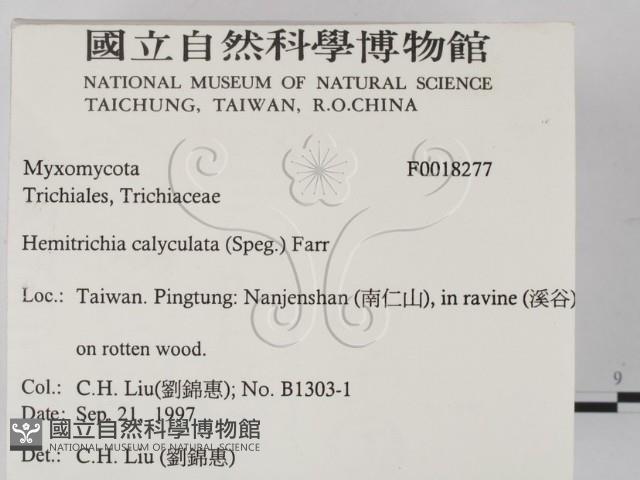 登錄號:F0018277藏品圖，第2張