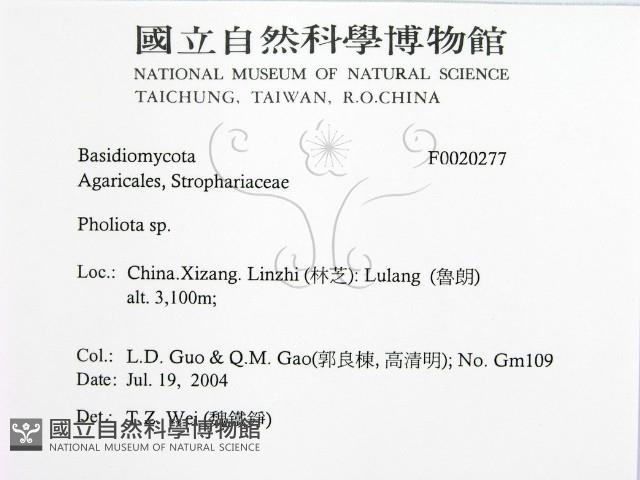 登錄號:F0020277藏品圖，第2張