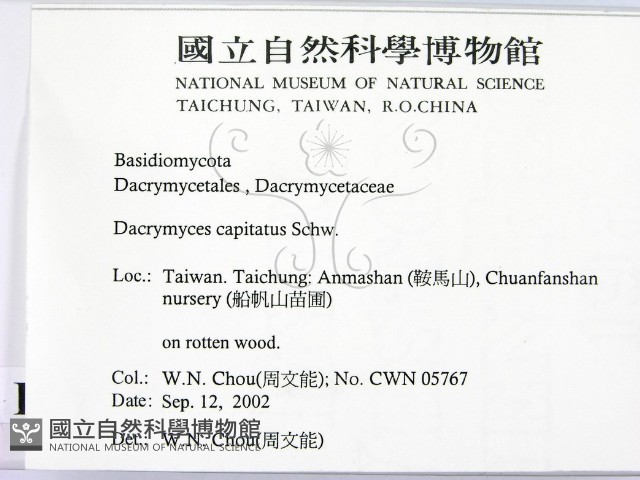 登錄號:F0016277藏品圖，第2張