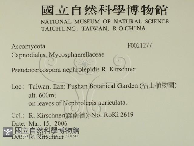 登錄號:F0021277藏品圖，第2張