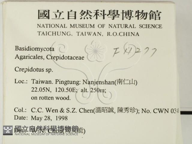 登錄號:F0011277藏品圖，第2張
