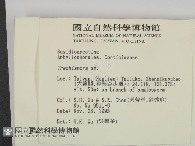 館號:F0004277藏品圖，第2張