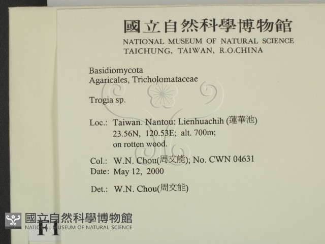 登錄號:F0014277藏品圖，第2張
