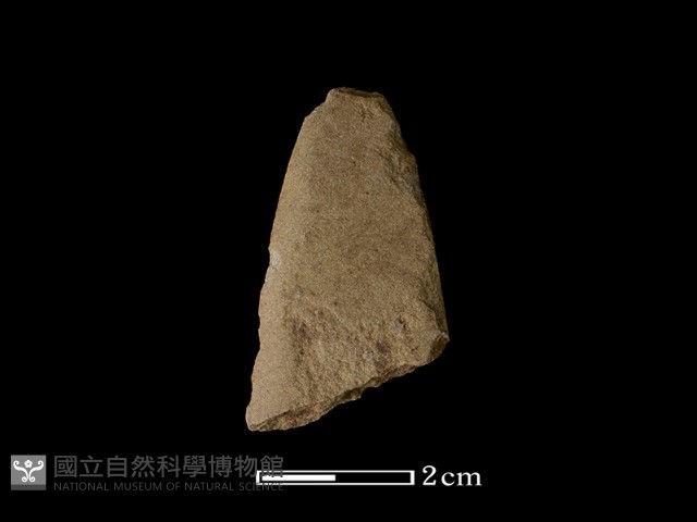 矛鏃形器藏品圖，第1張