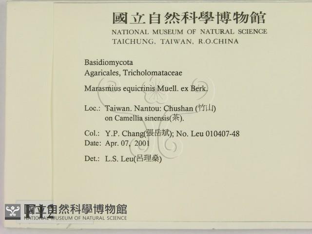 登錄號:F0012277藏品圖，第2張