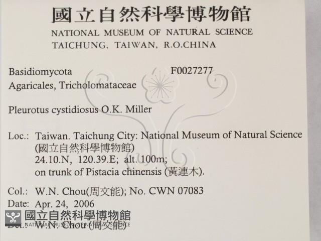 登錄號:F0027277藏品圖，第2張