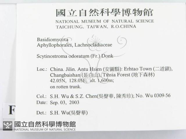 登錄號:F0015277藏品圖，第2張