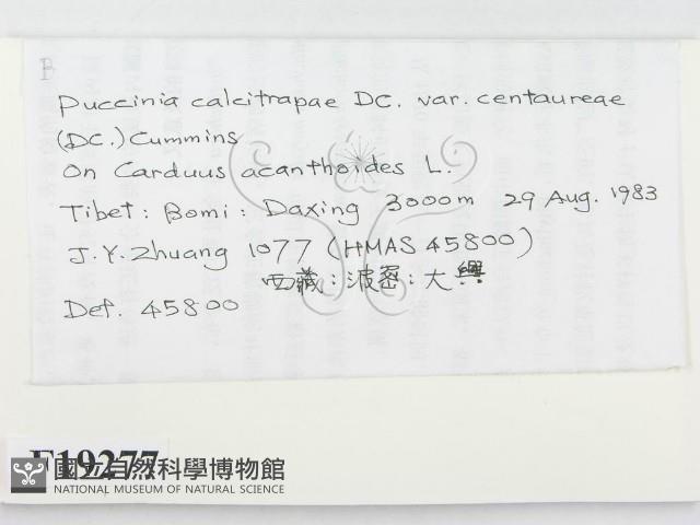 登錄號:F0019277藏品圖，第2張