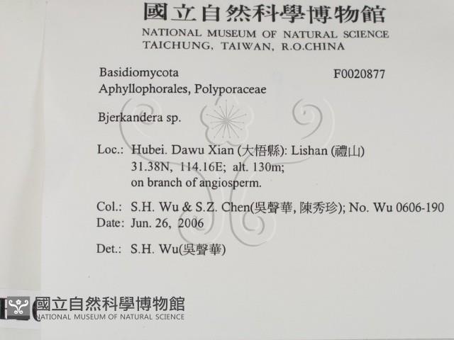 登錄號:F0020877藏品圖，第2張