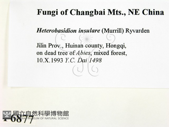 登錄號:F0006877藏品圖，第2張