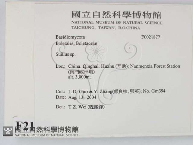 登錄號:F0021877藏品圖，第2張