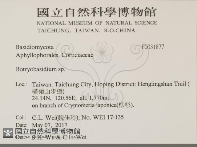 登錄號:F0031877藏品圖，第2張