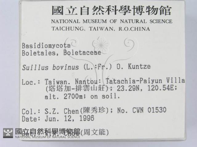 登錄號:F0004877藏品圖，第2張