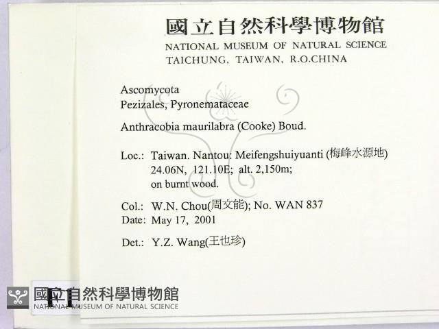 登錄號:F0012877藏品圖，第2張
