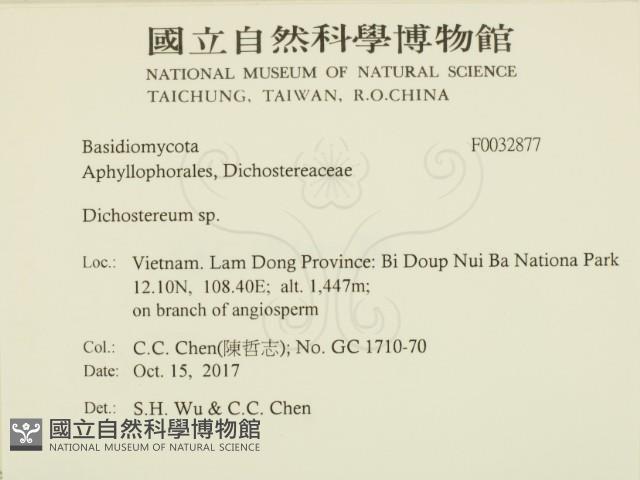 登錄號:F0032877藏品圖，第2張