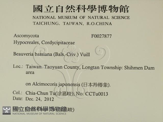 登錄號:F0027877藏品圖，第2張