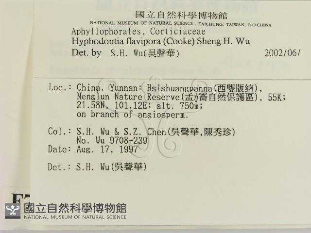 登錄號:F0007877藏品圖，第2張