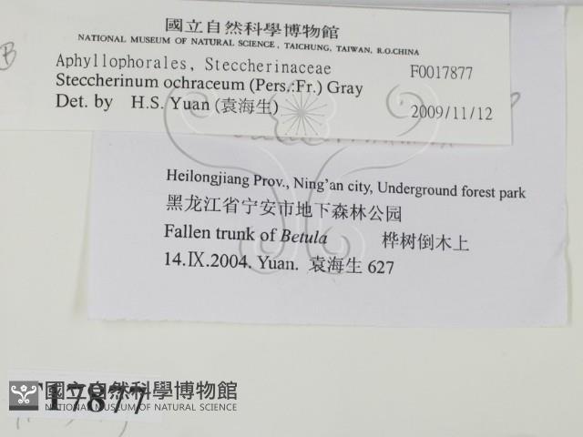 登錄號:F0017877藏品圖，第2張