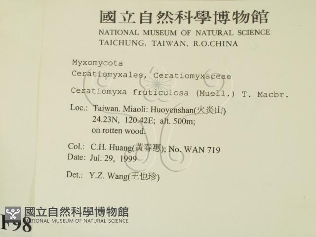 登錄號:F0009877藏品圖，第2張