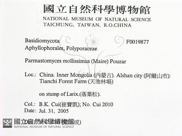 登錄號:F0019877藏品圖，第2張