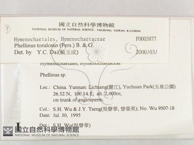 登錄號:F0003877藏品圖，第2張