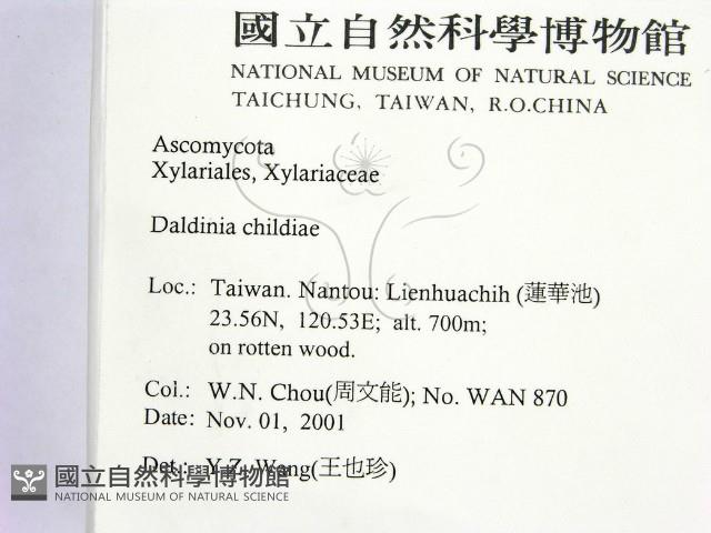 登錄號:F0013877藏品圖，第2張