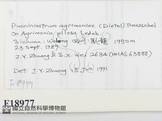 登錄號:F0018977藏品圖，第2張