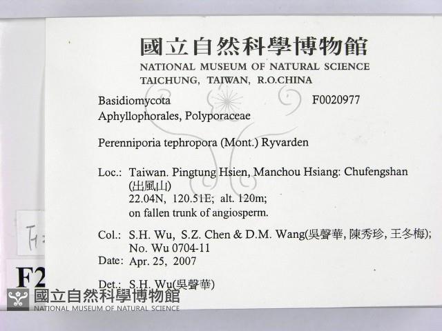登錄號:F0020977藏品圖，第2張